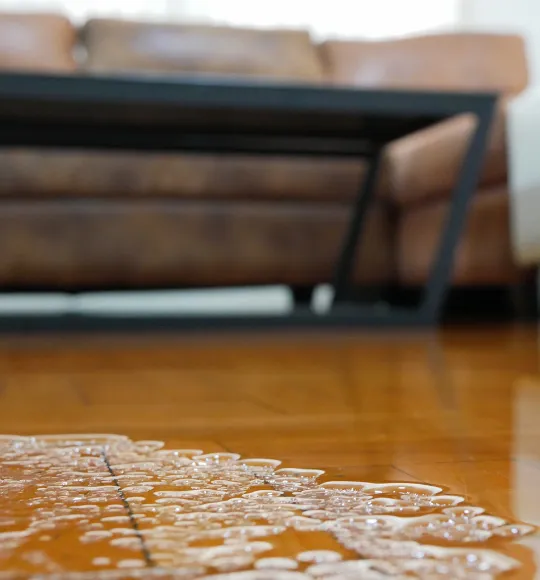 Water damage affecting hardwood flooring in a Dallas home before professional restoration services.