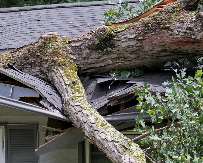 Severe storm damage in Dallas with fallen tree on residential roof, requiring emergency storm damage restoration services