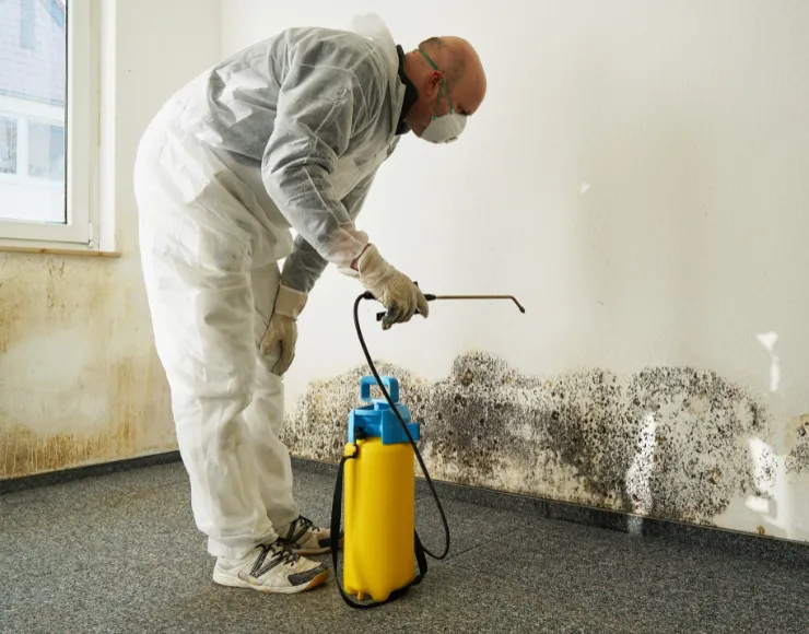 Certified mold remediation service in Dallas TX with technician safely treating mold growth on interior walls