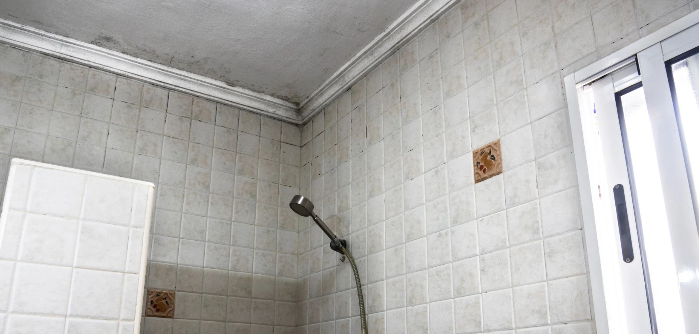 Bathroom mold growth on ceiling and tiled walls before remediation