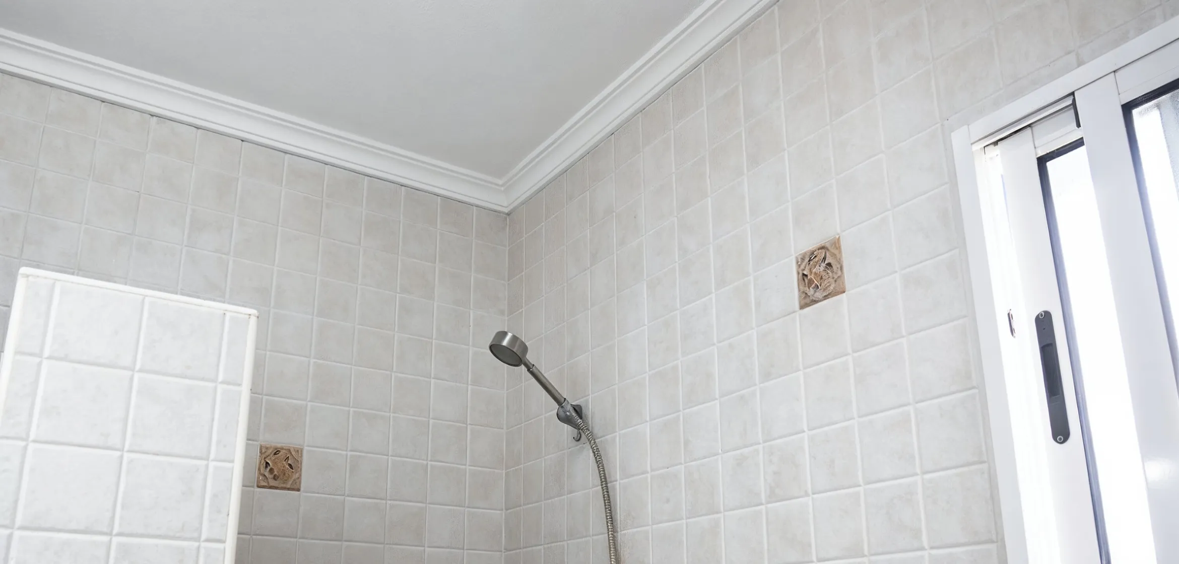 Bathroom after mold remediation with clean ceiling and walls