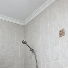 mold removed from bathroom wall in Dallas, TX